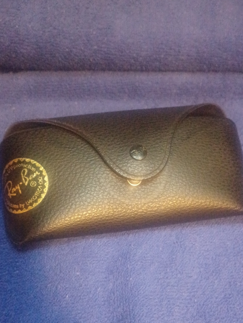 Ray Ban Sunglass Case